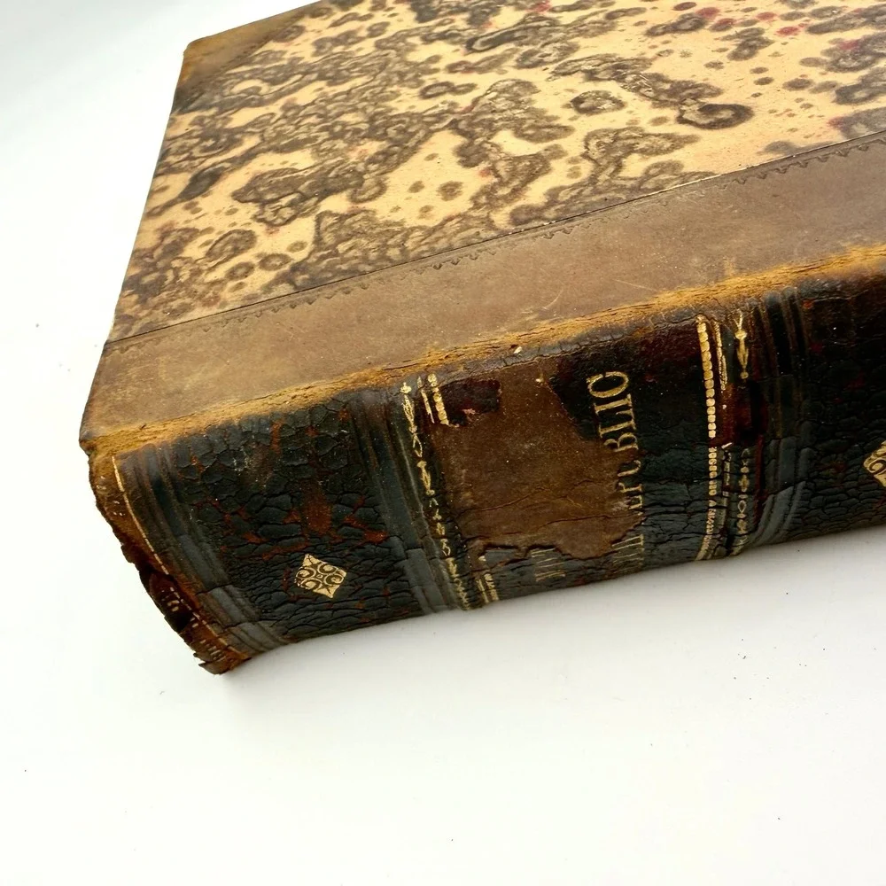 John Lothrop Motley‎ The Rise of the Dutch Republic 1858 3 Vol Half Calf Leather